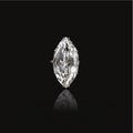 Important 11.14 carats Diamond ring