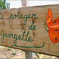 Visite guidée de mon potager (4)