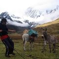 Cordillera Huayhuash