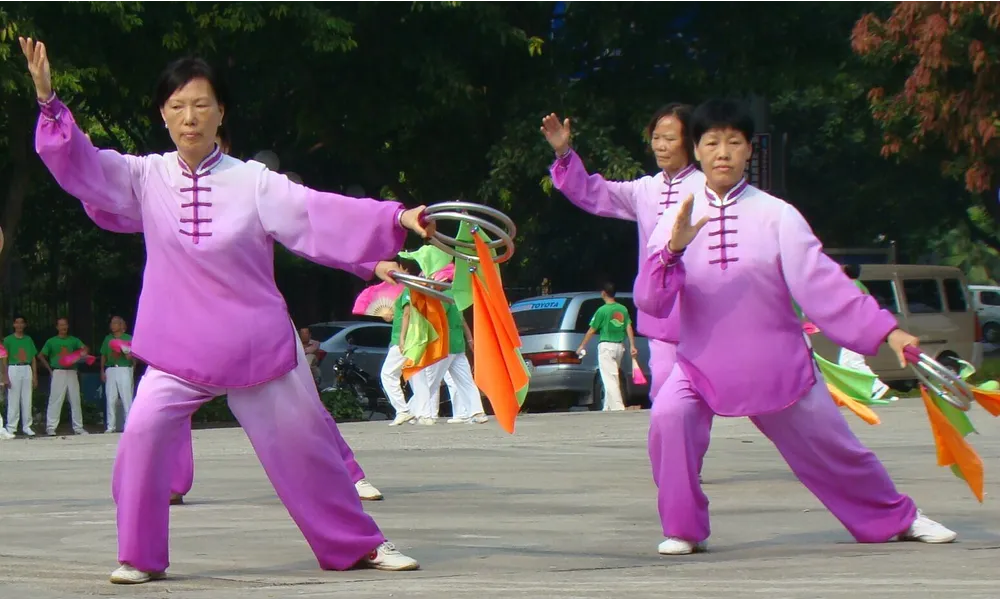 Tai Chi Chuan - Art martial interne à Lyon