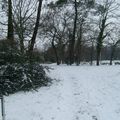 Promenade un jour de neige