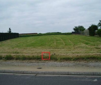 10 ans que nous avons découvert notre terrain à La Chapelle Enchérie !