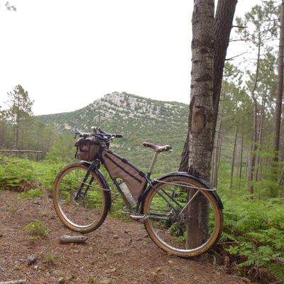 Résilience - Episode 2