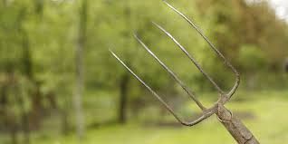 Aux fourches citoyens !