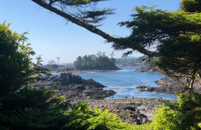 Une nouvelle page sur l'île de Vancouver pour les amoureux de la nature