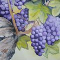 Raisins à l'aquarelle