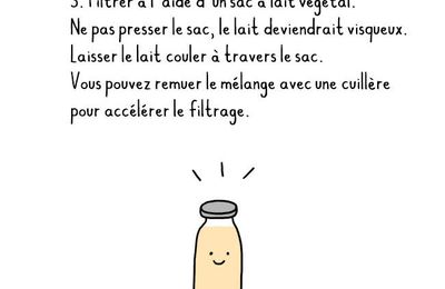 Lait d'avoine maison en 5 min