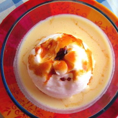 ÎLES FLOTTANTES (vite fait, bien faites)