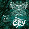 Air Cav – Don’t Look Indoors