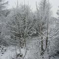 Premier jour de l'hiver et ....