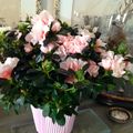 LE BOUQUET DU VENDREDI