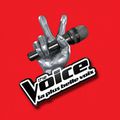 The Voice -2-