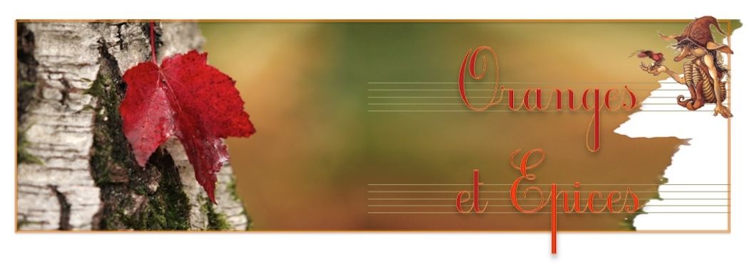Oranges et Epices