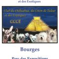 31ème Expo Nationale d'Elevage du Club du chihuahua, coton de Tuléar et des exotiques