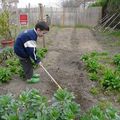 Matthieu et le jardin ...