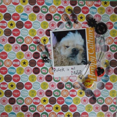 Punk is not deAd !!!!