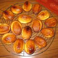 MADELEINES