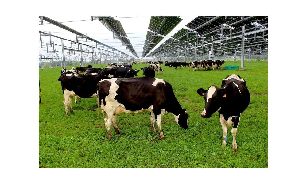  Agrivoltaïsme : il y a de quoi être inquiet