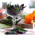 Feuilles de menthe fraîches, cristallisées et chocolatées....Hummmmmmm!