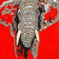 34 Éléphant - Acrylique sur toile 73x54