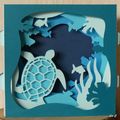 Des tortues de mer