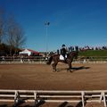 Fontenay 8 mars concours dressage