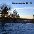 Bonne année 2019 !