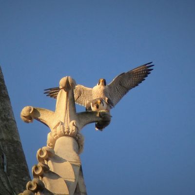 Benoît ramène ses observations très intéressantes.