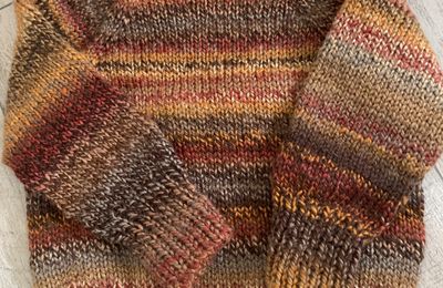 Projet au long cours #41