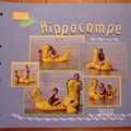 Page hippocampe