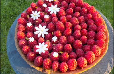 Tarte aux framboises et à la pistache