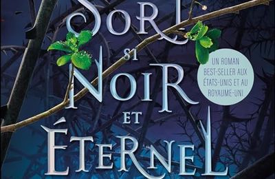 Un Sort si noir et éternel, de Brigid Kemmerer & Lu par Elsa Bougerie, Damien Le Délézir, Gabriel Bismuth-Bienaimé