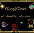Le tag de l'amitié 