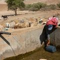 L’accès à l’eau potable est un droit humain. Alors pourquoi la Palestine est-elle une exception ?, par Ramzy Baroud (juin 2019)