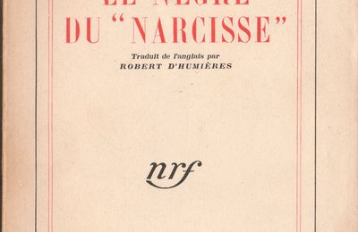 Le nègre du narcisse.