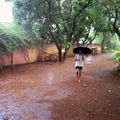 Première grosse pluie tropicale...