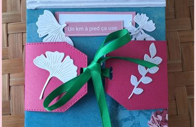 Mini album " 1 km à pied... ça use... " 