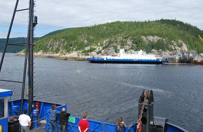 4 ... Tadoussac et les baleines