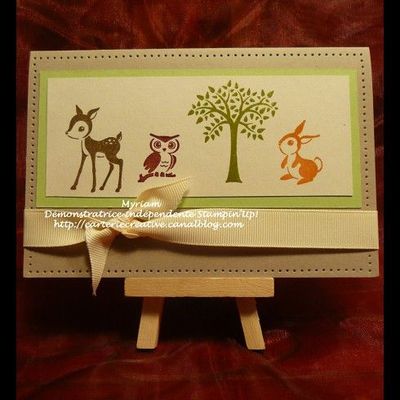 Faire-part de baptême