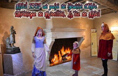 Noël 1367 au pays de Jeanne d’Arc - Chronique du Réveillon, L’oie de Noël