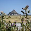 Le Mont Saint-Michel vu depuis la Bretagne le 6 août 2018 (3)