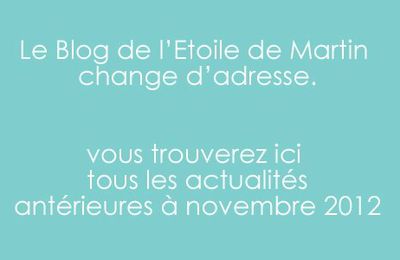 c'est par ici... www.letoiledemartin.org