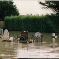 Inondations 1992 : Quelques rappels ...