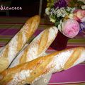 MES BAGUETTES TRADITION