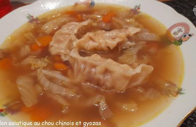 Bouillon asiatique au chou chinois et gyozas