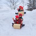 Lutins des bois, luge, traineau, toboggan, etc