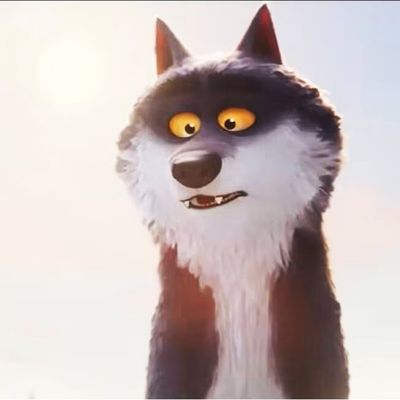 J'ai vu le loup .....