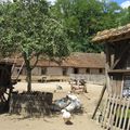 La ferme pédagogique de St Fargeau dans l'Yonne