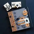 Mini album 100 %  masculin