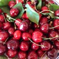 Le temps des cerises... hum !!